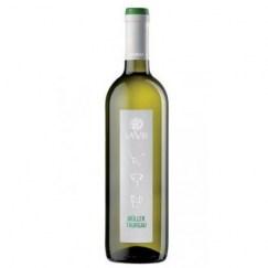 trentino doc muller thurgau